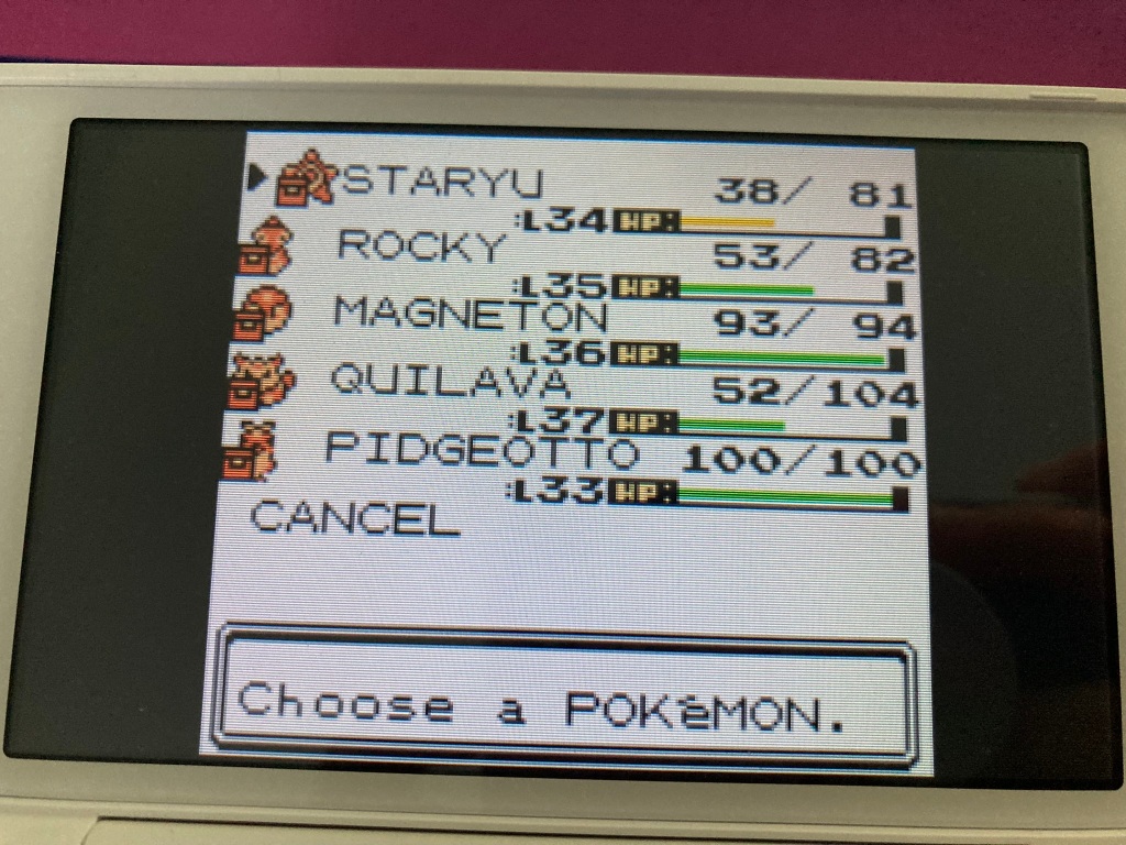 A list of five pokemon with their levels and health. At the bottom it says "choose a pokemon." The pokemon are: staryu, rocky (which is a onyx), magneton, quilava, and pidgeotto.